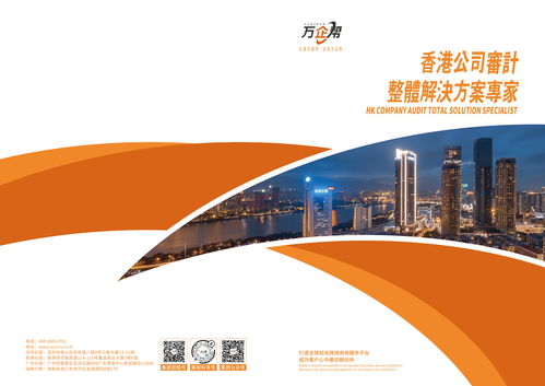 金融审计信息咨询服务产品手册