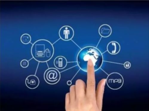 中国港口信息咨询服务 连接全球贸易的智能中枢