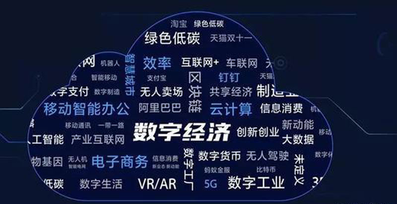 宁夏银川产业调研哪家专业？国信咨询实地解析行业优势